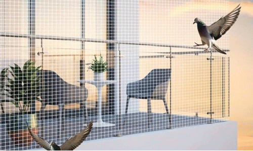 Pigeon Net in Bhubaneswar