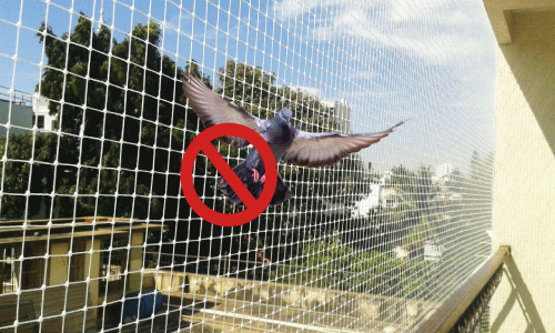 Pigeon Net in Bhubaneswar